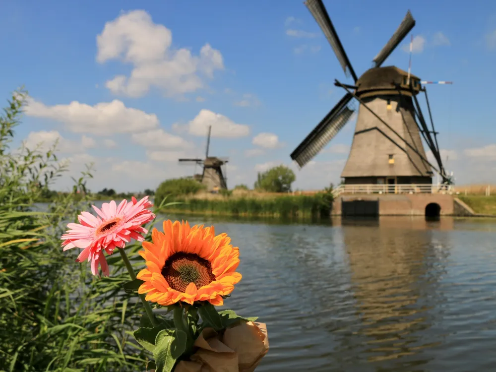 What to Do if Your Flight is Delayed in the Netherlands