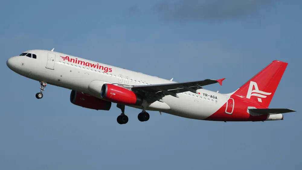 Flight Cancelled Anima Wings – What You Can Do and How to Get Compensated